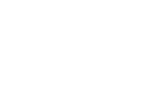 Crowdguard logo